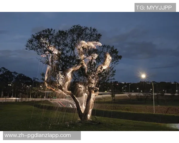 pg电子火树赢花大奖-PG电子火树赢花大奖，梦想与运气的交汇-pg电子火树赢花大奖